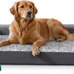 Orthopedic Dog Bed