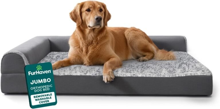 Orthopedic Dog Bed