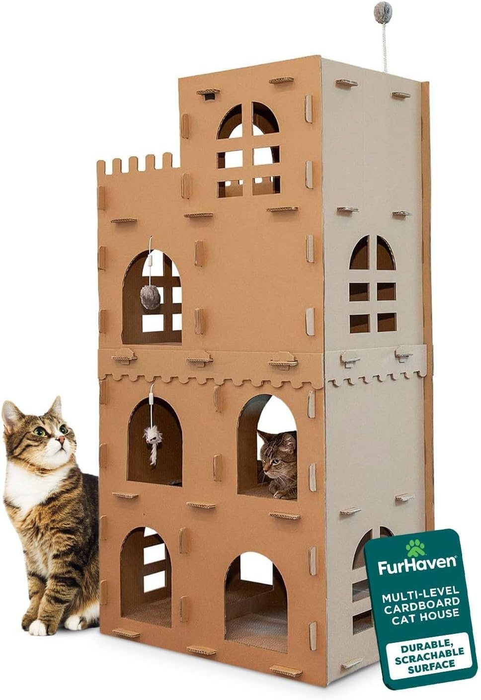 Cat House
