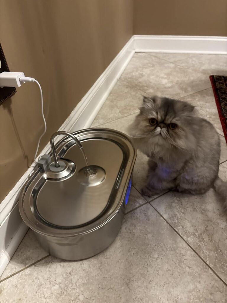 7 Best Cat Water Fountains: Complete Guide, Filters & Petlibro Review 21 Cat Water Fountains