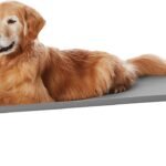 Elevated Dog Bed
