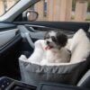 Dog booster