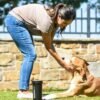 Portable Dog Paw Washer