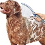 Dog Shower Attachment