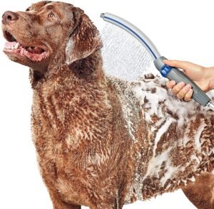 Dog Shower Attachment